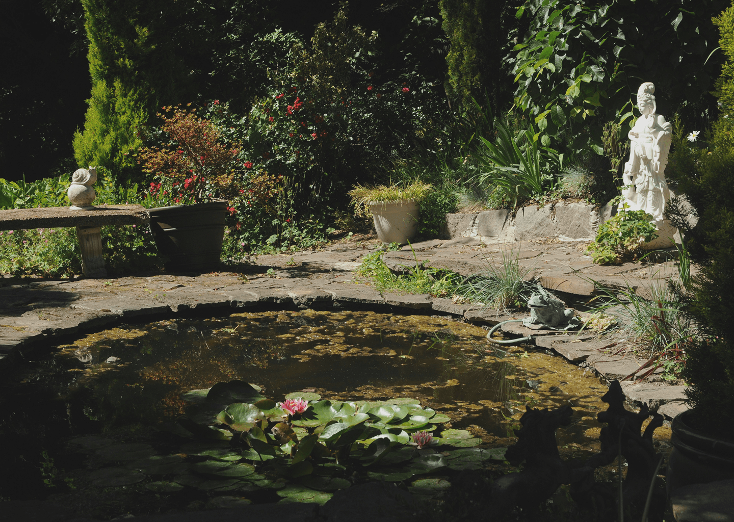 teich und waßeranlagenbau in wilhelmshaven