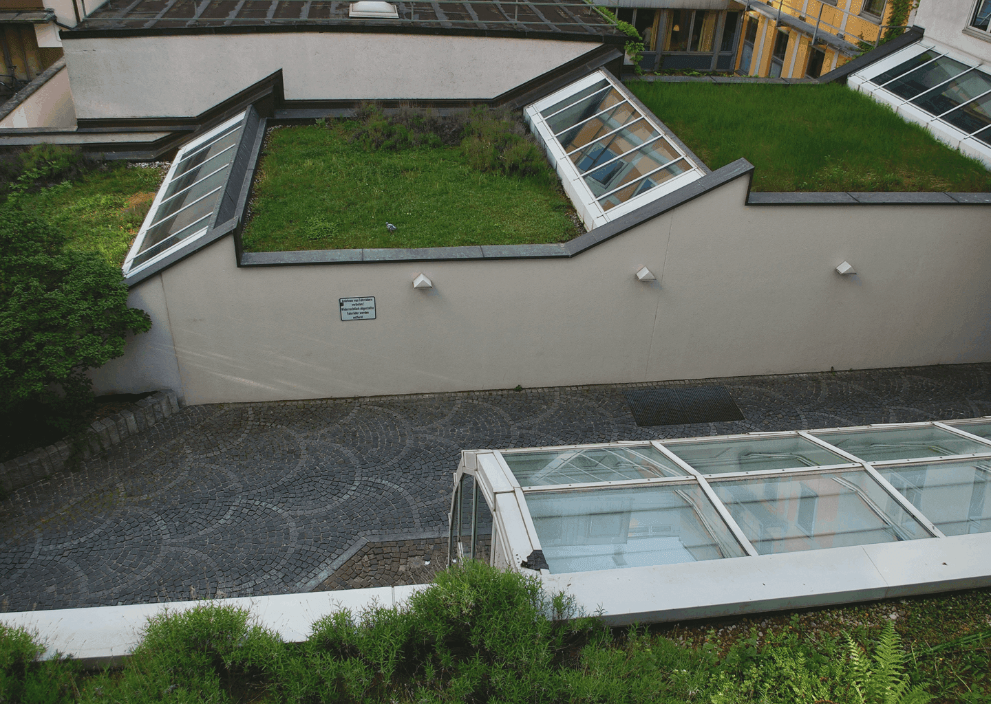 dachbegrünung in gießen